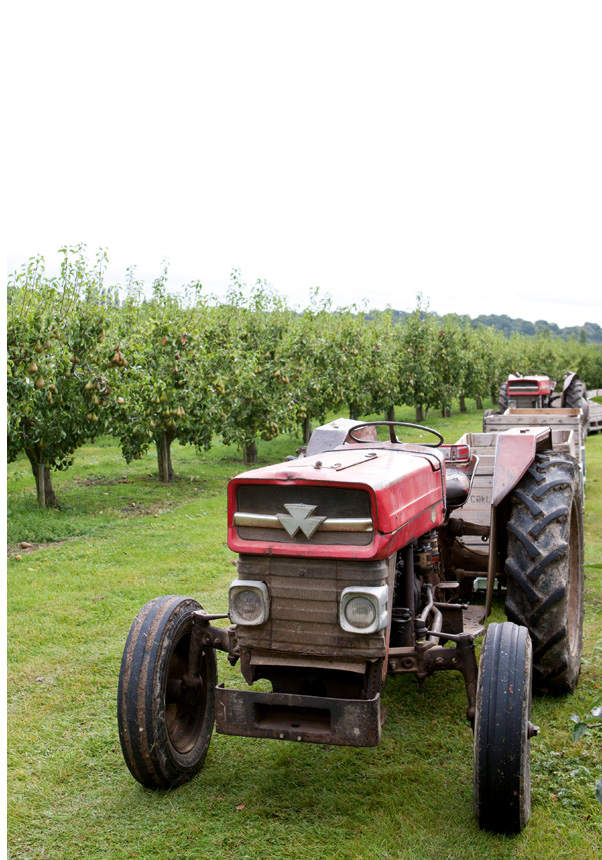 Our nation produces the best ingredients in the world This inspiring book is a - photo 12