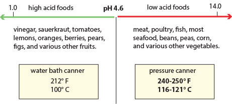 Fig 11 Whether food should be processed in a pressure canner or boiling water - photo 2