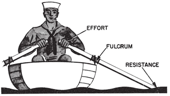 Oars are levers Levers of the first and second class are commonly used to - photo 4