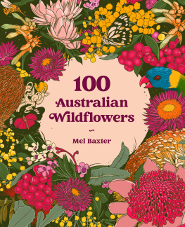 Mel Baxter - 100 Australian Wildflowers