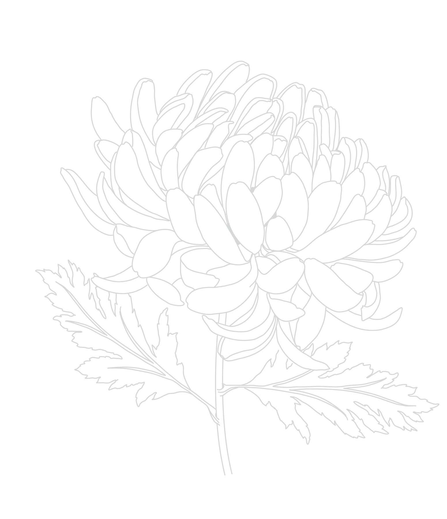 Botanical Escape 40 Beautiful Tracing Projects to Help You Unwind - photo 5