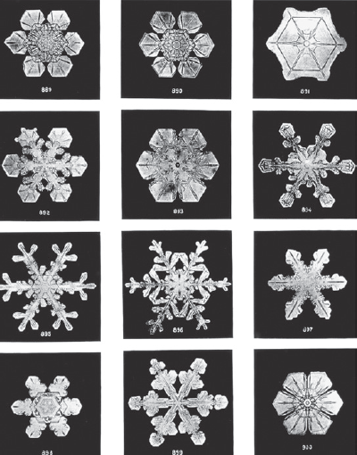 The physical hexagonal structure of snowflakes Subterranean map of the - photo 6