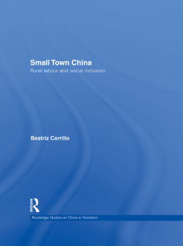 Beatriz Carrillo Garcia - Small Town China: Rural Labour and Social Inclusion