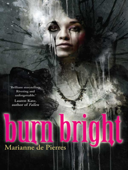 Marianne de Pierres - Burn Bright