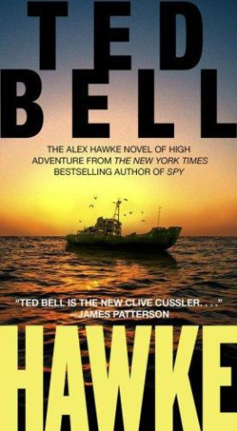 Ted Bell - Hawke (Pocket Star Paperback)