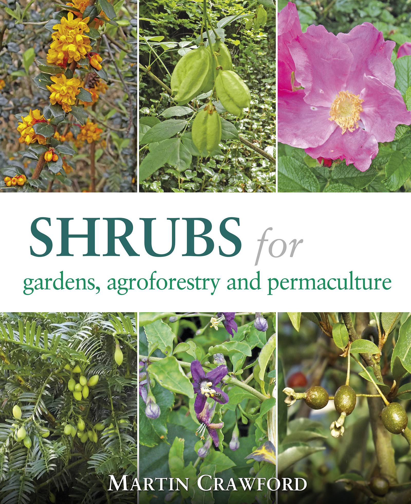 Shrubs for gardens agroforestry permaculture Martin Crawford P ermanent - photo 1