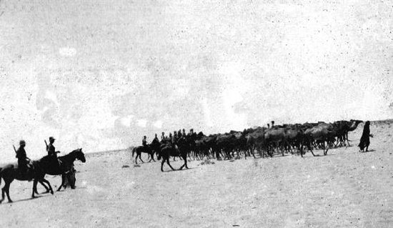 5th Light Horse with their camel transport Rounding up captured camels - photo 15