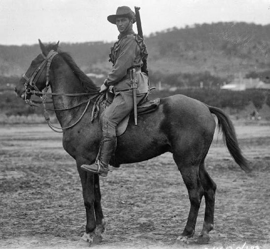 Guy Haydon 12th Light Horse Barney Haydon 12th Light Horse Stinno - photo 5