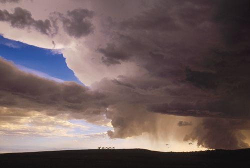 Yva MomatiukJohn EastcottMinden Pryor Mountain Wild Horse Range Montana - photo 3