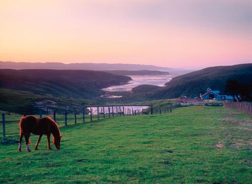 Conrad PiepenburgLaifRedux Point Reyes California INTRODUCTION Pleasures and - photo 4