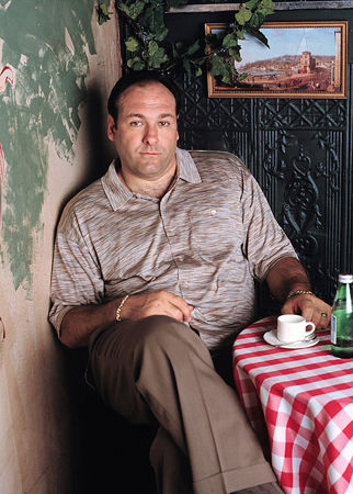 James Gandolfini starred as the antihero you cant help but root for Tony - photo 4