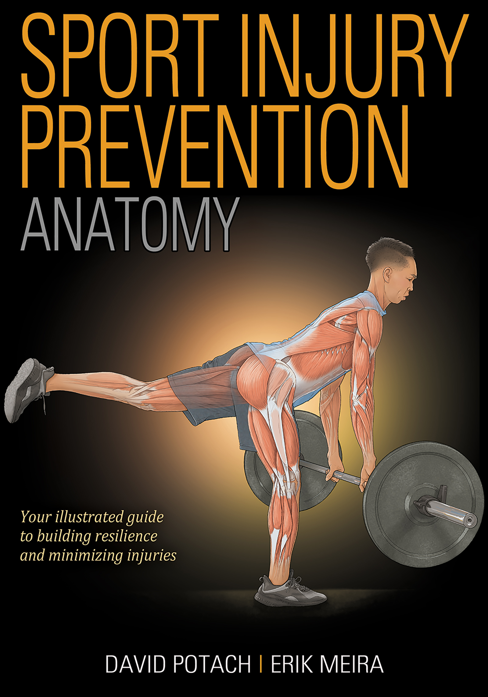 Sport Injury Prevention ANATOMY David Potach Erik Meira Library of - photo 1