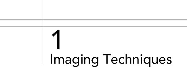 Imaging of Orthopaedic Fixation Devices and Prostheses - image 5