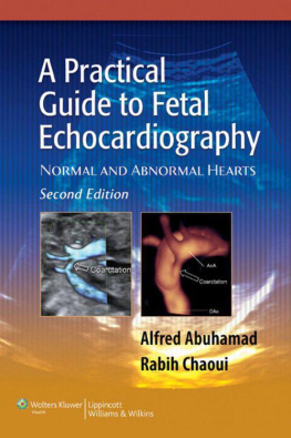 M.D. Abuhamad - A Practical Guide to Fetal Echocardiography: Normal and Abnormal Hearts (Abuhamad, A Practical Guide to Fetal Echocardiography)