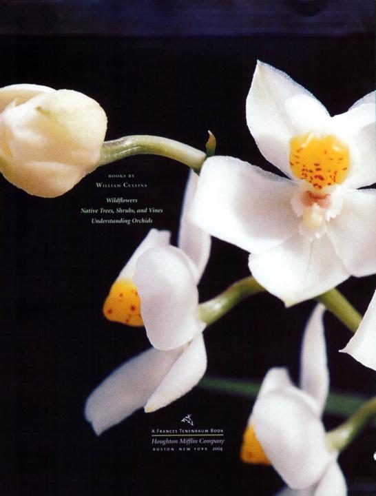 Understanding Orchids An Uncomplicated Guide to Growing the Worlds Most Exotic Plants - photo 3