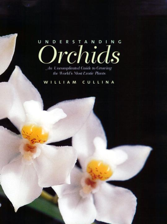 Understanding Orchids An Uncomplicated Guide to Growing the Worlds Most Exotic Plants - photo 4