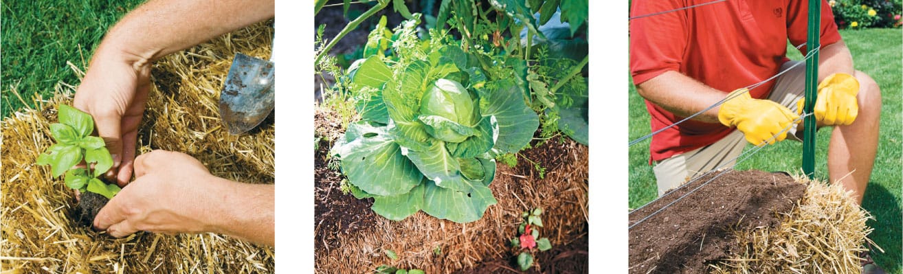 STRAW BALE GARDENS Complete BREAKTHROUGH METHOD FOR GROWING VEGETABLES - photo 2