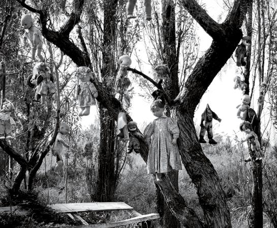 DAVID MAURICE SMITHOCULIREDUX DOLLS HANG FROM TREES on Isla de las Muecas - photo 5