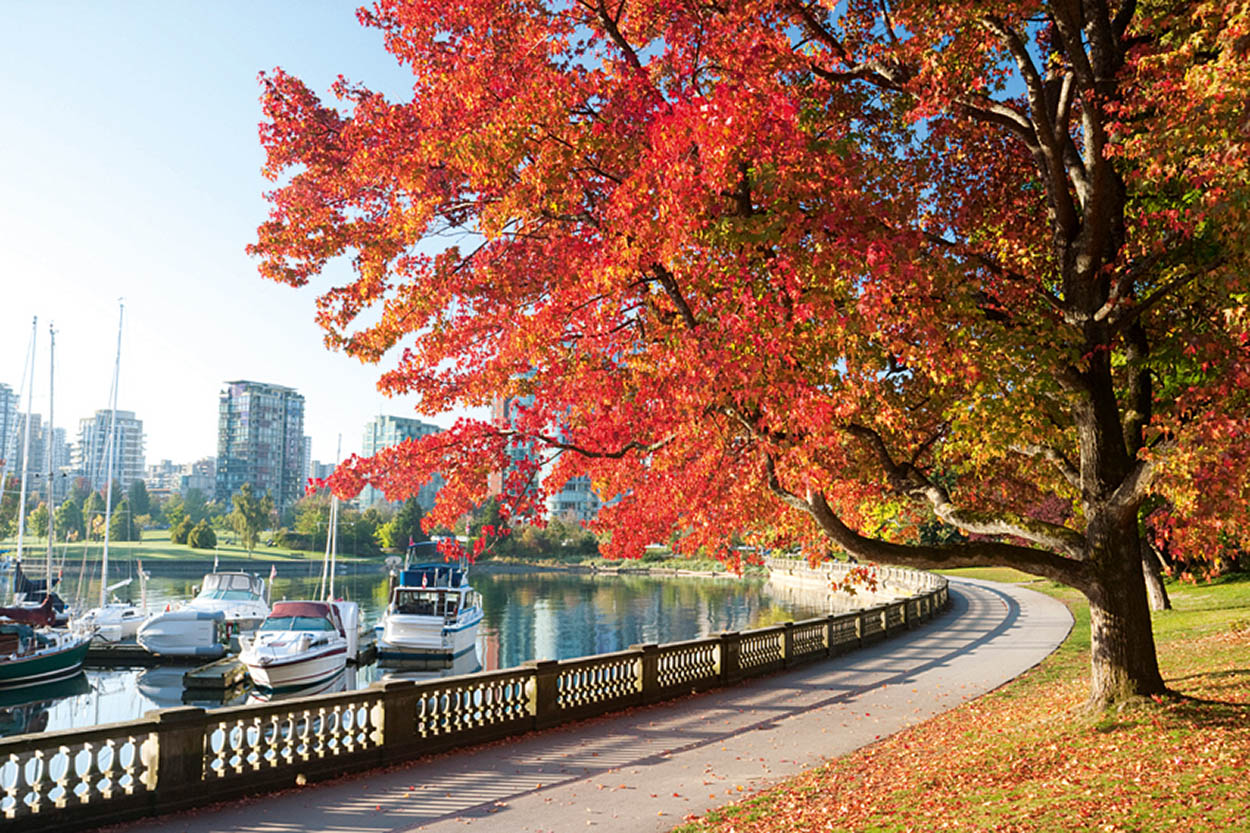 Stanley Park Vancouvers jewel a 400-hectare 1000-acre evergreen oasis - photo 12