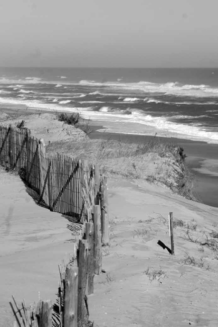 Wellfleet Dune View Photo by the author Years passed and the haunting story - photo 4