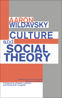 Aaron Wildavsky Culture and Social Theory