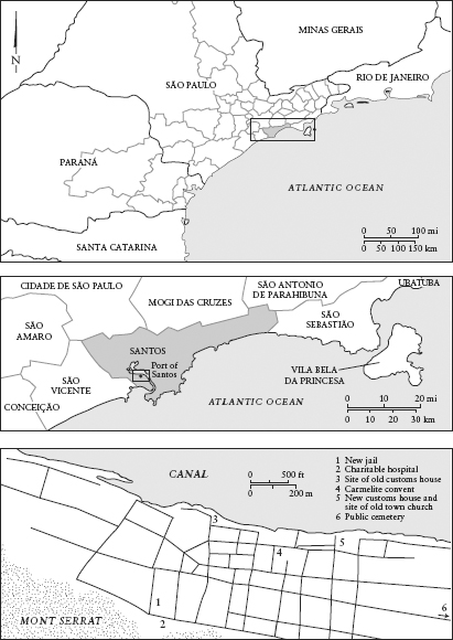 FIGURE 01 The Port of Santos Within Its Municipality and the Province of So - photo 2