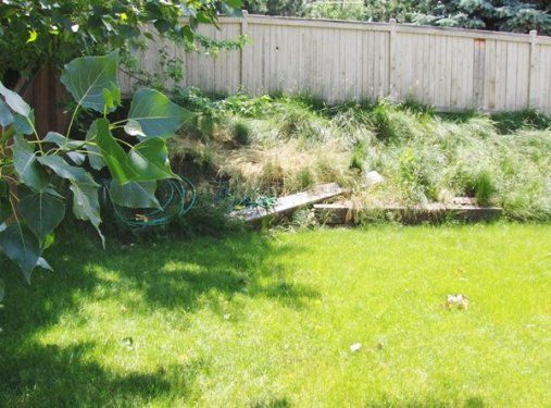 Pre-construction photo of the retaining wall The mound of dirt and weeds you - photo 1