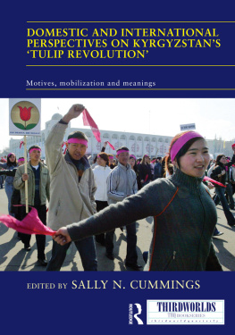 Sally N. Cummings - Domestic and International Perspectives on Kyrgyzstans Tulip Revolution: Motives, Mobilization and Meanings