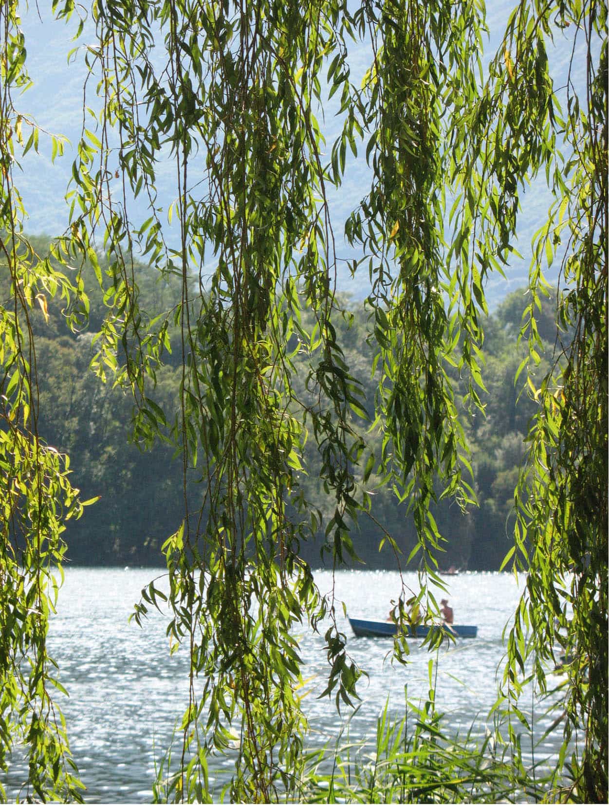 Escaping the crowds Take a dip in unspoilt Lake Mergozzo is a pretty region - photo 6