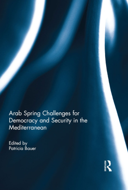 Patricia Bauer - Arab Spring Challenges for Democracy and Security in the Mediterranean