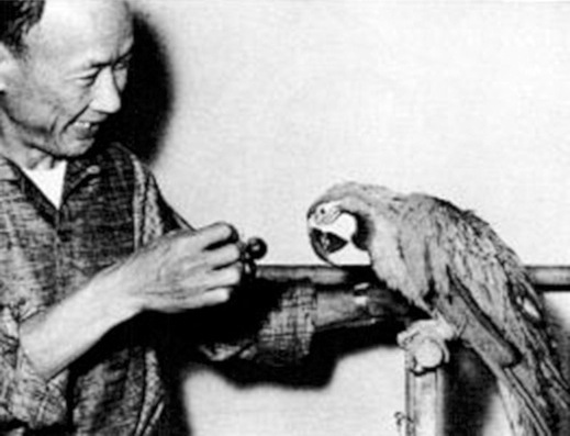 The story of Louis the Parrot became internationally famous This photo of - photo 2