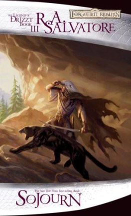 R. A. Salvatore - The Dark Elf Trilogy 3 Sojourn (Dragonlance)