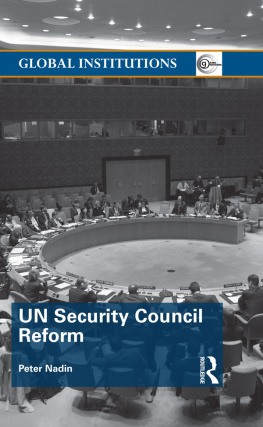 Peter Nadin - UN Security Council Reform