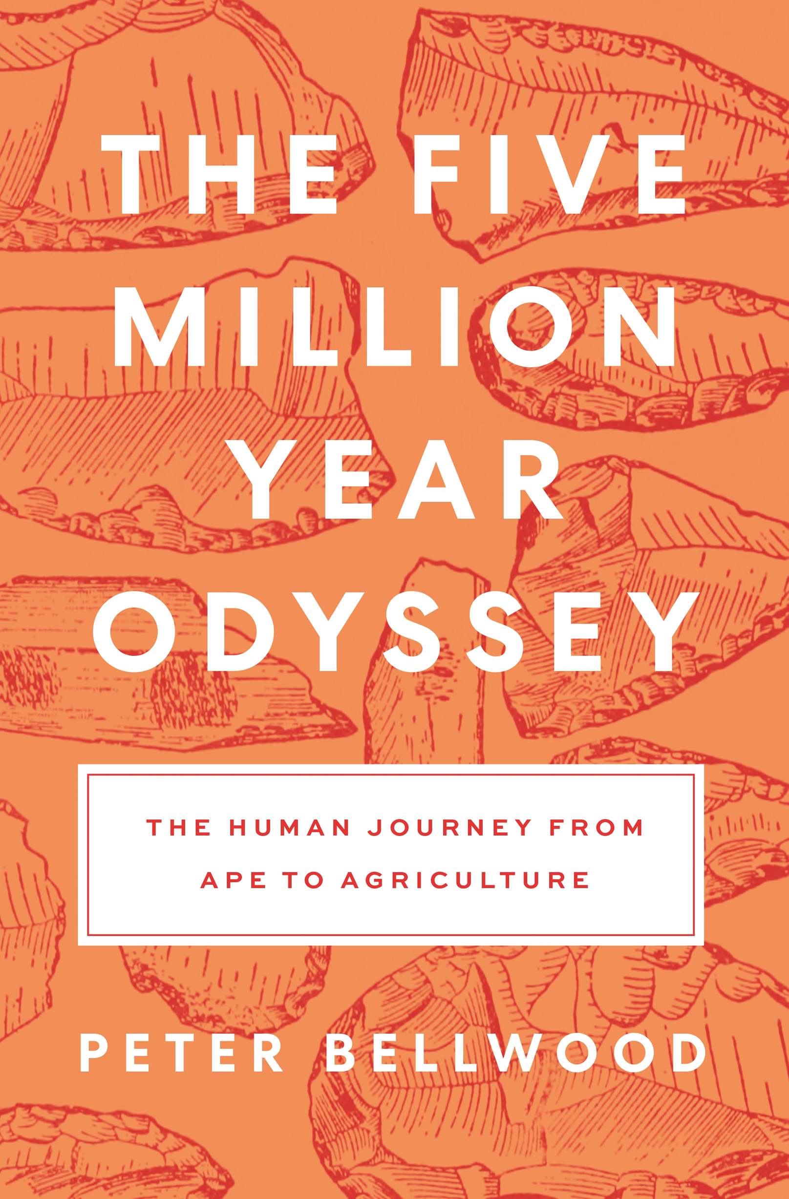 THE FIVE-MILLION-YEAR ODYSSEY The Five-Million-Year Odyssey THE HUMAN JOURNEY - photo 1