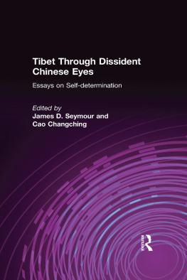 James D. Seymour - Tibet Through Dissident Chinese Eyes: Essays on Self-Determination