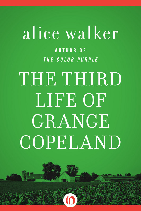 The Third Life of Grange Copeland Alice Walker For my mother who made a - photo 1