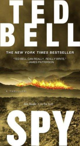 Ted Bell Spy (Hawke)