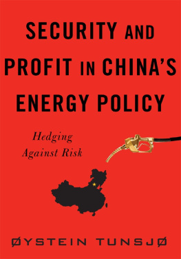 Øystein Tunsjø - Security and Profit in Chinas Energy Policy: Hedging Against Risk