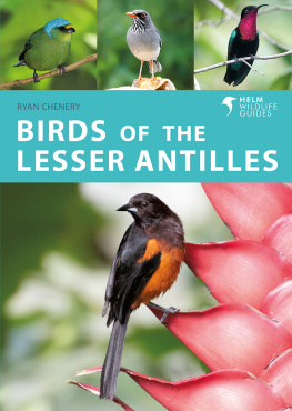 Ryan Chenery Birds of the Lesser Antilles