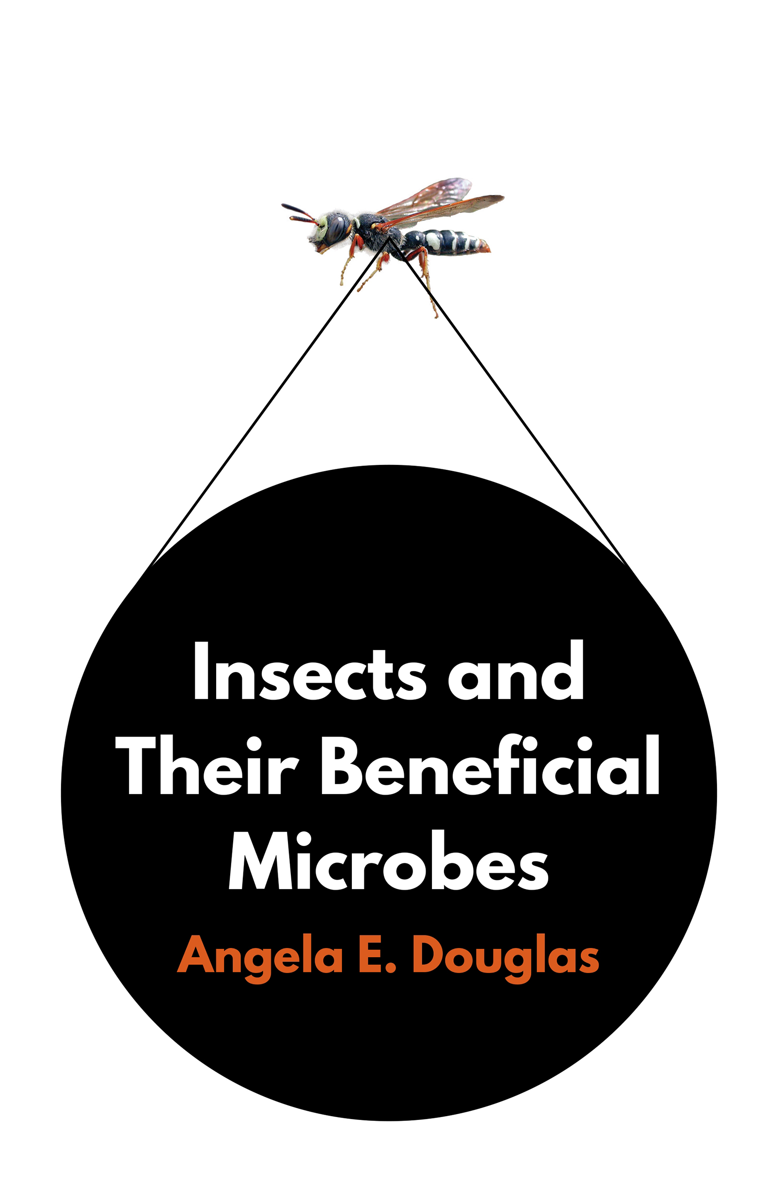 Insects and Their Beneficial Microbes Insects and Their Beneficial Microbes - photo 1