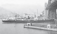 Ocean Viceroy photographed passing under the Sydney Harbour Bridge in the - photo 4