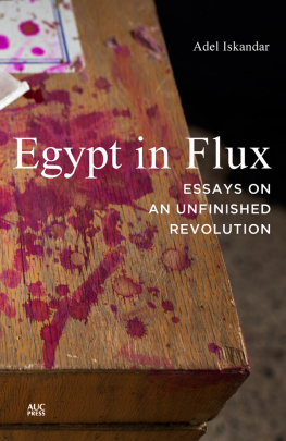 Adel Iskandar Egypt in Flux: Essays on an Unfinished Revolution