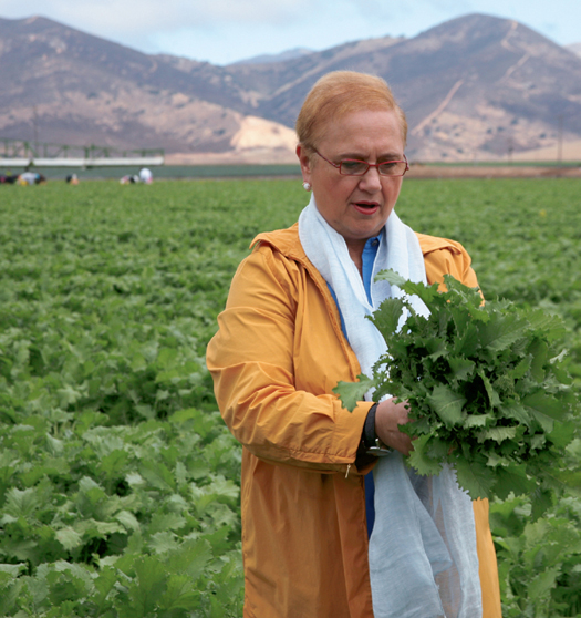 At the Andy Boy Farms in California harvesting broccoli rabe Contents - photo 5