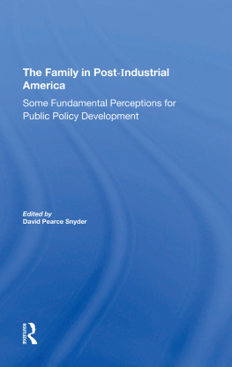 David Pearce Snyder - The Family in Postindustrial America: Some Fundamental Perceptions for Public Policy Development
