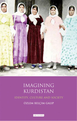 Özlem Belçim Galip - Imagining Kurdistan: Identity, Culture and Society