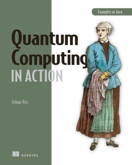 Johan Vos - Quantum Computing in Action