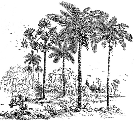 An illustration from James Forbes Oriental Memoirs 1813 In my dating I have - photo 2