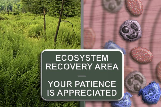 Ecosystem recovery nurtures rejuvenation and youthfulness Total Recovery or - photo 3