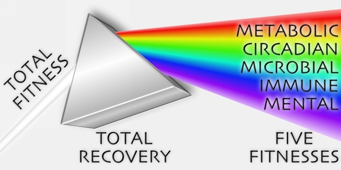 Total Recovery splits total fitness into the five fitnesses Each of the five - photo 4