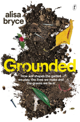 Alisa Bryce - Grounded